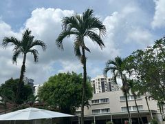 -新加坡良木园酒店
