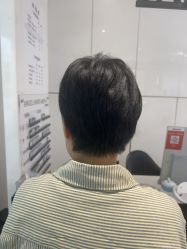 -天使之手