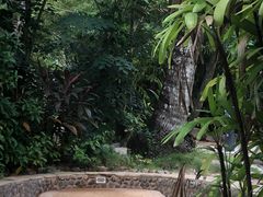 -三亚珠江南田温泉度假区