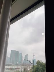 -上海首尔丽格医疗美容医院