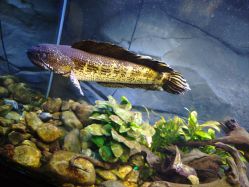 -Zoolung Zoolung动物主题公园(海信广场店)