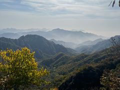 -大岭沟猕猴桃谷风景区