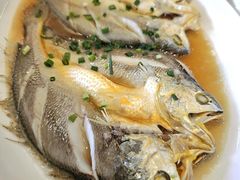 -华盛丰温州大排档(东三环南路店)