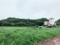 -济州森林小火车生态公园