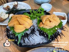 海胆-Hatsune隐泉日式料理(三里屯太古里店)