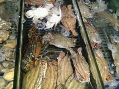 -今鲜源大酒店·中华餐饮名店(新湛路店)