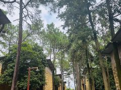 -象山森林公园