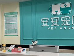 -安安宠医·安宠宠物医院