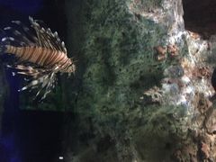 -苏州海洋馆