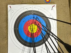 -蓝天射箭馆·专业射箭运动(诚丰广场店)