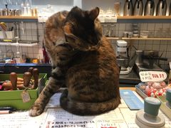 -猫的天空之城概念书店(杭州南宋御街店)