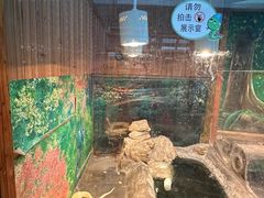 -上海大自然野生昆虫馆