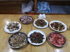 -大湾区中央湿地公园-十九涌