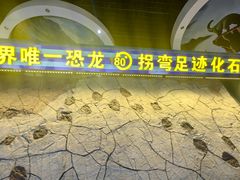 -诸城市恐龙博物馆