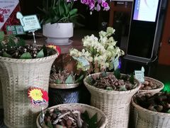 -黔蘑菇四季餐厅(观山湖店)