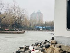 -团结湖公园