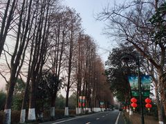 -西溪国家湿地公园