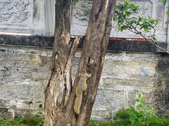 -大理文庙(大理古城)