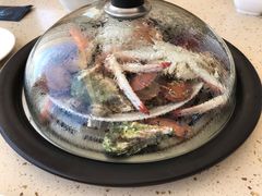 -港畔赶海蒸汽海鲜烧烤自助(仙螺岛店)