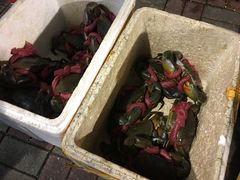 -桥底辣蟹(谢斐道店)