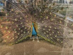 -南戴河国际娱乐中心