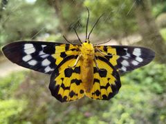 -四海轩(珠海海泉湾店)