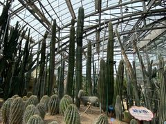 -南山植物园