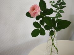 -边渡咖啡烘焙店(昙华林店)
