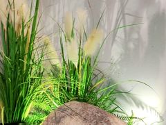 -蜜桃餐厅·伴山(绿宝广场店)