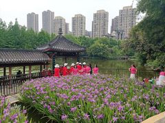 -龙头寺公园