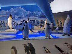 -贝林大翅鲸简餐厅(国家海洋博物馆店)