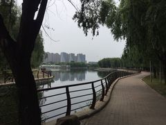 -长春公园(普阳街道)