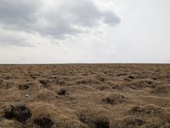 -芦芽山旅游度假区
