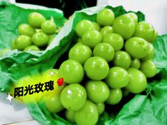 -马陆小张葡萄园农家乐