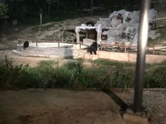 -清迈夜间动物园