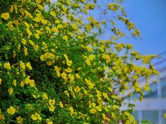 -国家植物园南园