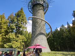 -黄海国家森林公园