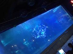 -泉城欧乐堡海洋极地世界