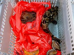 -外滩18号海鲜(三亚湾龙兴海鲜广场店)