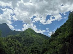 -黑河国家森林公园