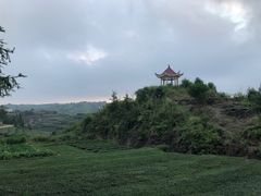 -军营村