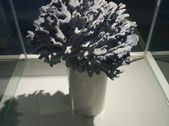 -泉城欧乐堡海洋极地世界