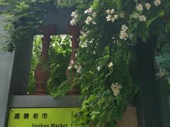 -嘉善老市