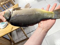 -乡土特色.冷锅鱼.牦牛肉汤锅