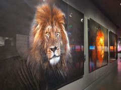 -罗红摄影艺术馆