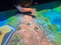 -珠海横琴国家地理探险家中心(创新方)