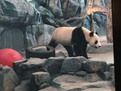 -武汉动物园