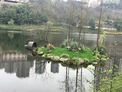 -重庆彩云湖湿地公园
