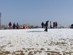 -绿野森林乐园冰雪季
