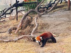 -常州淹城野生动物世界